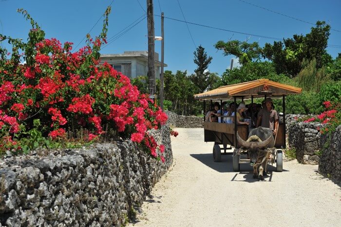 sightseeing at Taketomi island