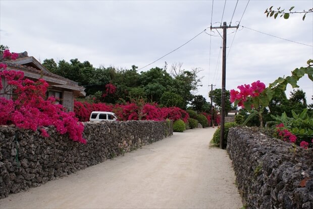 sightseeing at Taketomi island