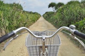 Travel Tips for Kudaka Island (Island of God) – Going through the Renal Cycling
