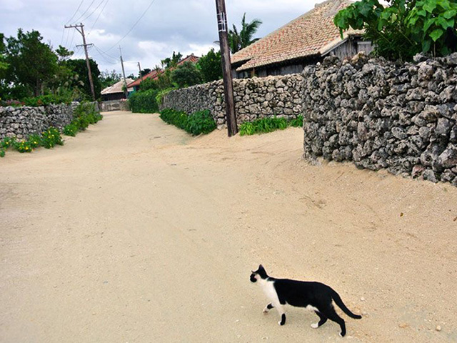 taketomi island