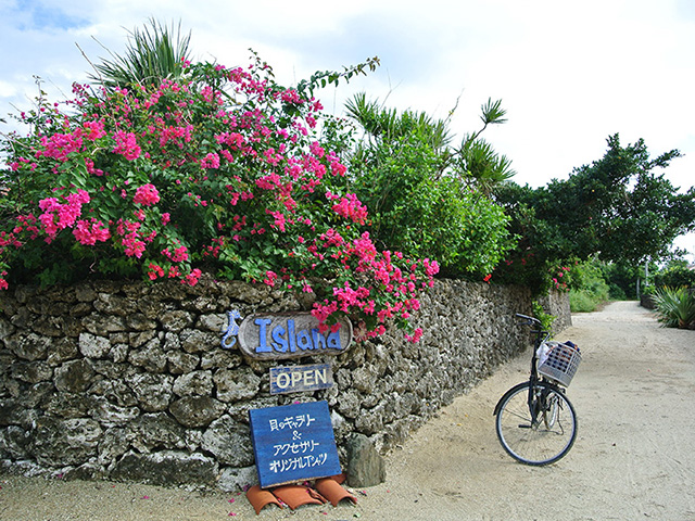 Taketomi Island Bicycle Tour