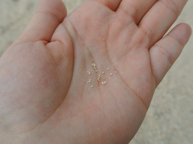 taketomi Island Star sand