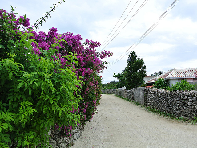 taketomi island walking course