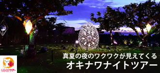 しろくまツアーの夏休み沖縄ナイトツアー特集