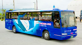 沖縄　観光バスツアー