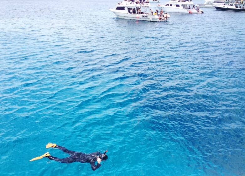 慶良間の海で潜る