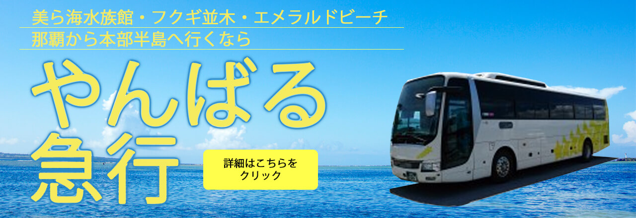 沖縄旅行の知恵袋 車は無いけど海もリゾートも美ら海も楽々満喫