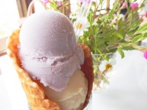 Ice crean cafe ark