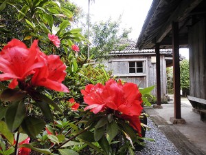 Yagiya garden