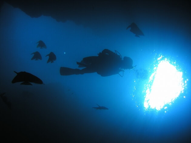 okinawan blue cave