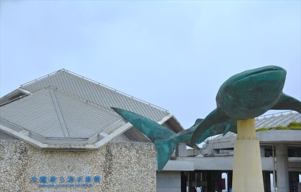 沖縄美ら海水族館イメージ