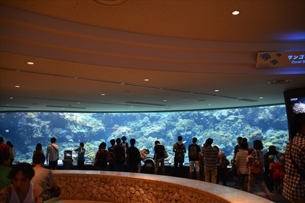 Okinawa Ocean Expo Park Image