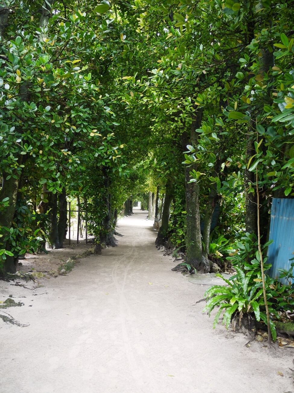 Okinawa Ocean Expo Park Image