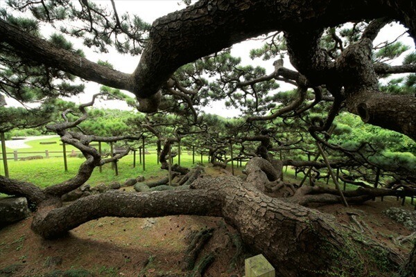 年版 一度は行きたい久米島 観光 見どころのすべて