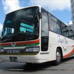 【レンタカーがなくても安心】沖縄本島で人気のバスツアー４選！