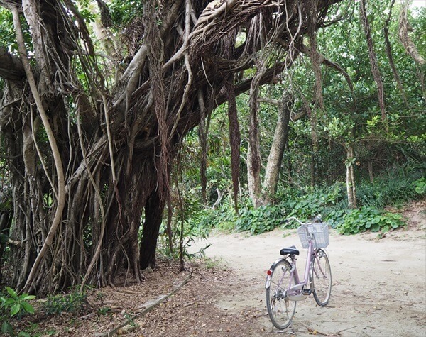 レンタサイクルで行く久高島