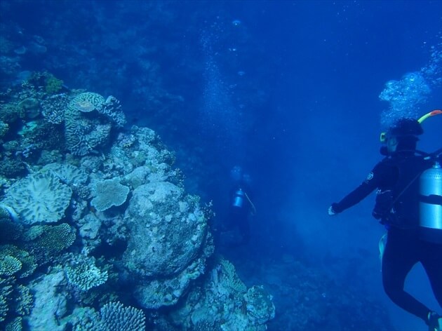 diving at Ishigagki island