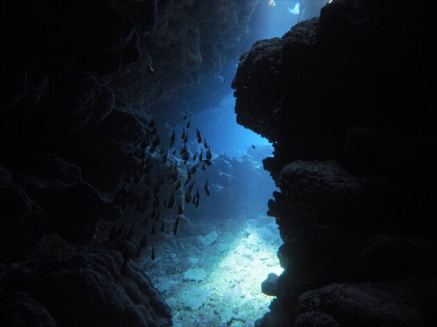 diving at Ishigagki island