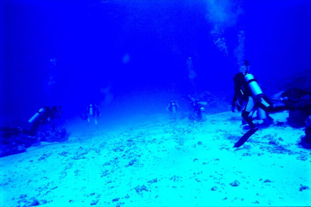 diving at Ishigagki island