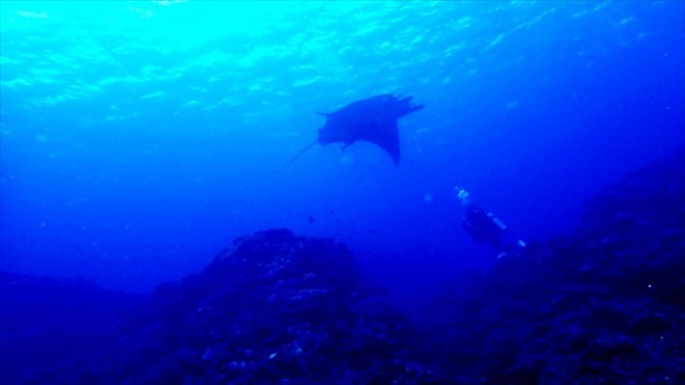 diving at Ishigagki island