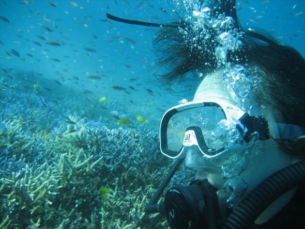 diving at Ishigagki island
