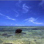 森も海も大自然！”西表島でダイビング”のココが魅力です！