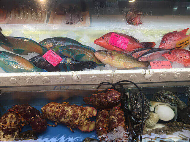 沖縄の島魚②