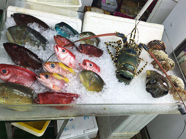 沖縄の島魚①