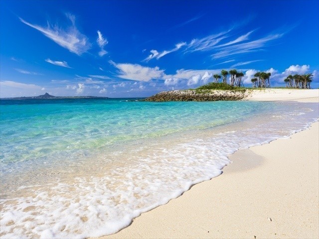 Okinawa Ocean Expo Park Image