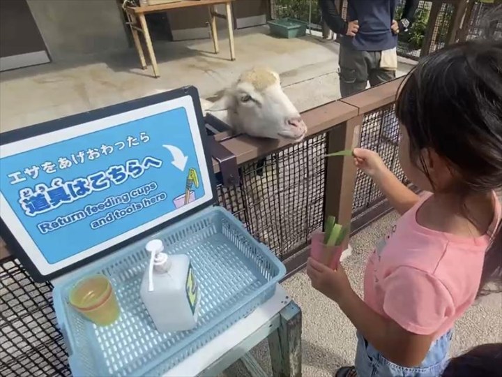 沖縄こどもの国