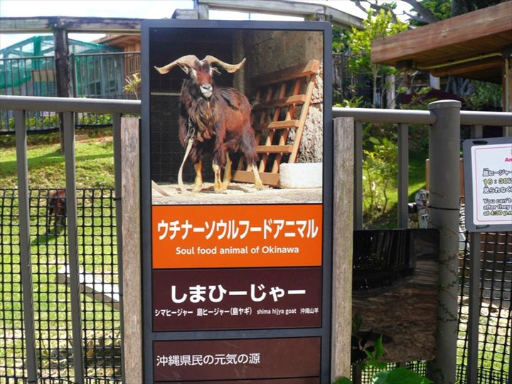 沖縄こどもの国