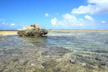 沖縄　海遊び