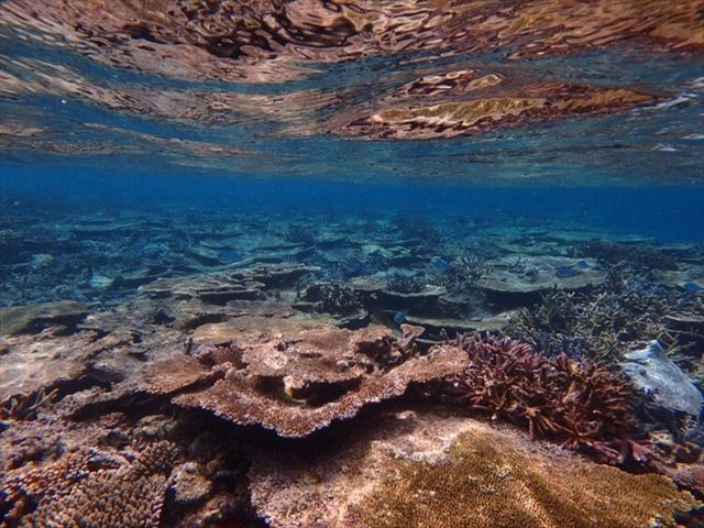 宮古島の絶景シュノーケリングスポット八重干瀬の見どころ 楽しみ方