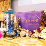 体験教室「yaeee」でハーバリウム作り│沖縄の思い出を瓶に閉じ込めて