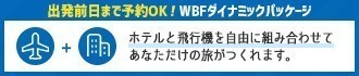 WBFダイナミックパッケージ