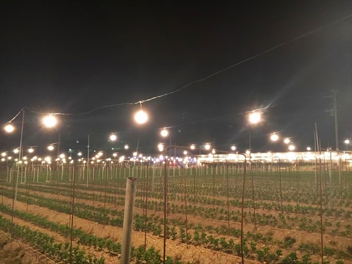 沖縄夜ドライブ