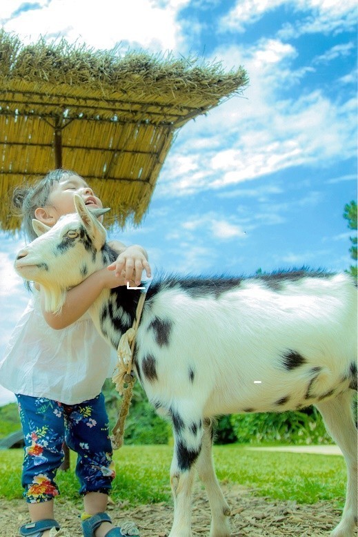 山羊与小女孩