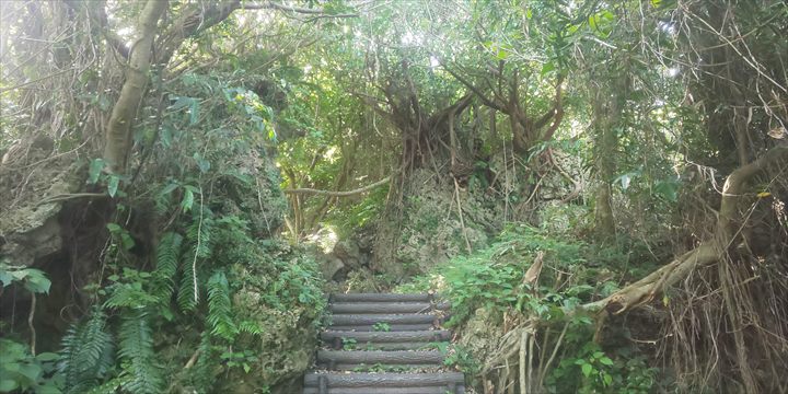 沖縄　南部　穴場　ホロホロの森