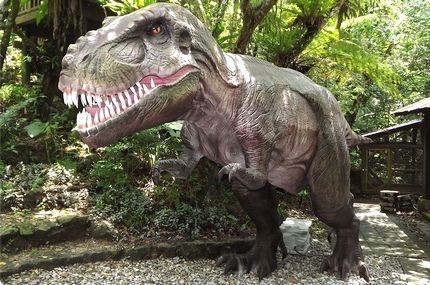 DINO 恐竜 PARK やんばる亜熱帯の森