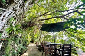 山の茶屋 楽水｜緑に溶け込む隠れ家カフェから眺める沖縄の海