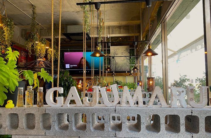 琉球×ストリートアートと植物でいっぱいのおしゃれカフェ「ガジュマルカフェ」＠コザ