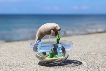 沖縄限定ガチャ