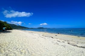 石垣島の人気シュノーケリングスポット「米原海岸」透明度抜群の自然いっぱい天然ビーチ