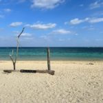 ウミガメにも会えるかも！「新城海岸」は宮古島のビーチシュノーケリングにおすすめビーチ