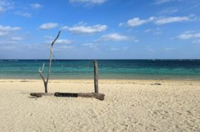 ウミガメにも会えるかも！「新城海岸」は宮古島のビーチシュノーケリングにおすすめビーチ