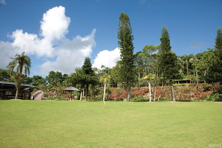 沖縄中部観光　東南植物楽園