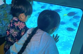 子どもを連れて那覇発水中観光船「オルカ号」に乗ってきた！魚見えない？酔う？正直レビュー