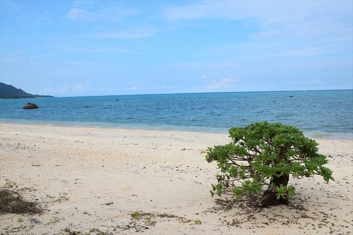 沖縄　ハートロック　石垣島　巻岩