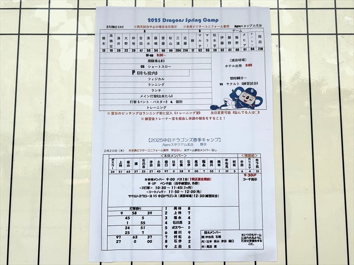 プロ野球沖縄キャンプ　楽しみ方