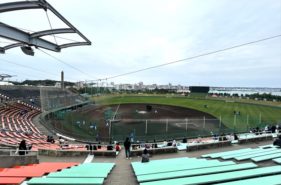 プロ野球沖縄キャンプの楽しみ方｜中日ドラゴンズ春季キャンプに行ってきました